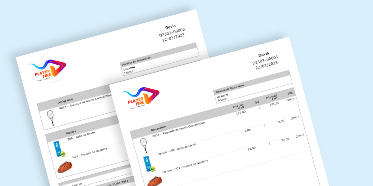 Nouveau : afficher les options dans le corps des PDF des devis et demandes de prix