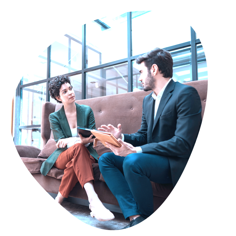 incwo Services, Audit et gestion de projet
